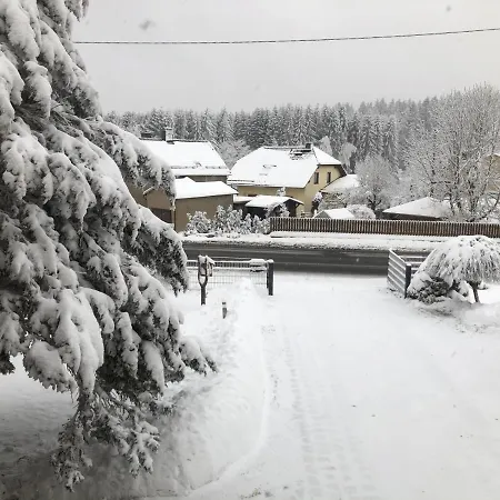 Daire Zur Geigenbachtalsperre